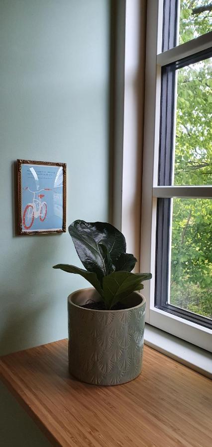 Knebel Hos Molsgaarden B&B 외부 사진