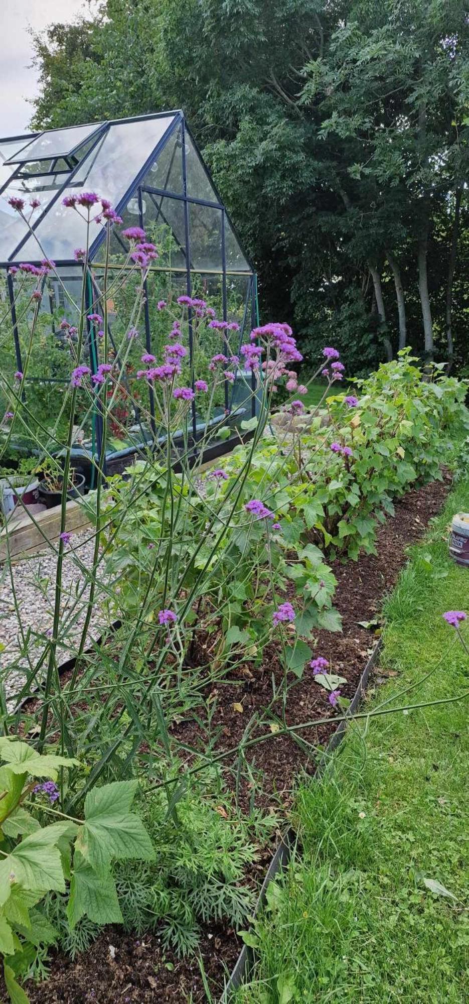 Knebel Hos Molsgaarden B&B 외부 사진
