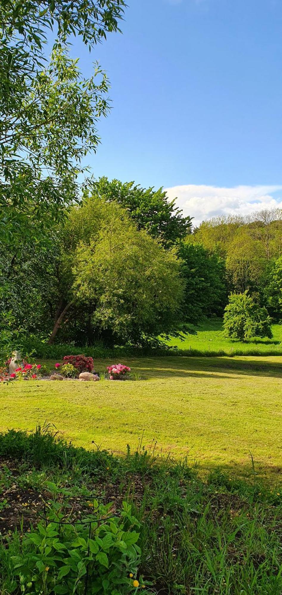 Knebel Hos Molsgaarden B&B 외부 사진